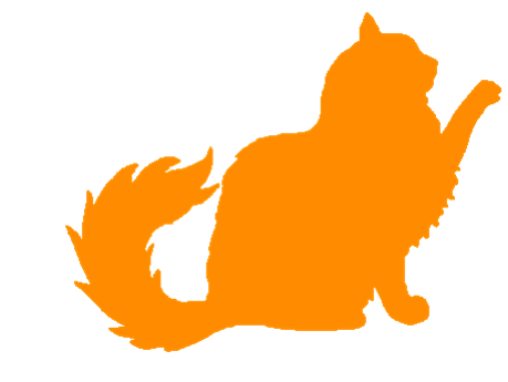 Pet sitter Garde d'animaux Chat orange