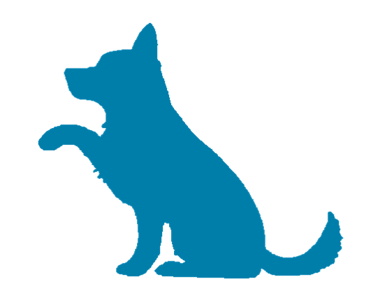 Pet sitter Garde d'animaux Chien bleu