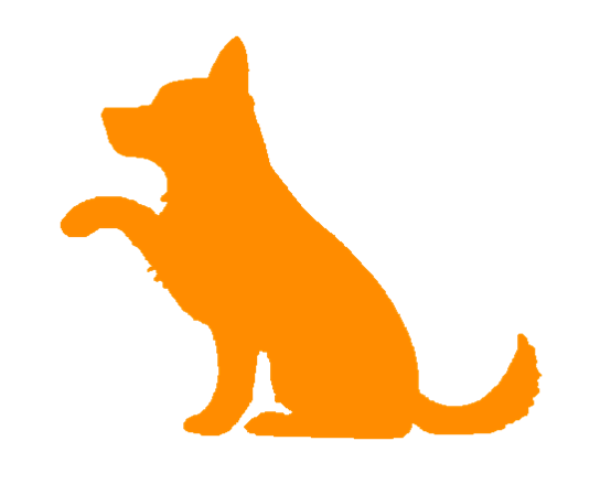 Pet sitter Garde d'animaux Chien orange